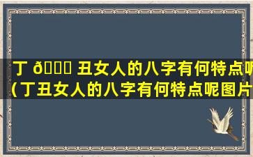 丁 🐈 丑女人的八字有何特点呢（丁丑女人的八字有何特点呢图片）